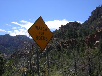 Coconino Forest, AZ, 9th September 2004.