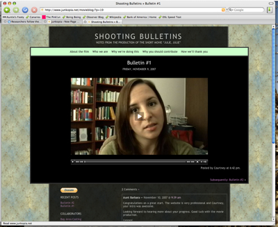 Screenshot of Shooting Bulletins blog.