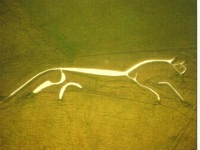 The Uffington White Horse, viewed from above.