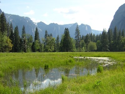 Mountains reflected in the transitional marshlands of Yosemite Valley, 14th June 2005.